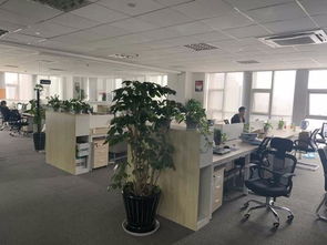 紡織印染ERP生產(chǎn)管理軟件 驅(qū)動(dòng)染廠智能升級(jí)與高效運(yùn)營(yíng)的核心引擎